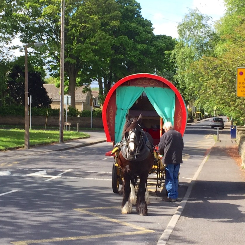 #sundaysevens 1 (14)