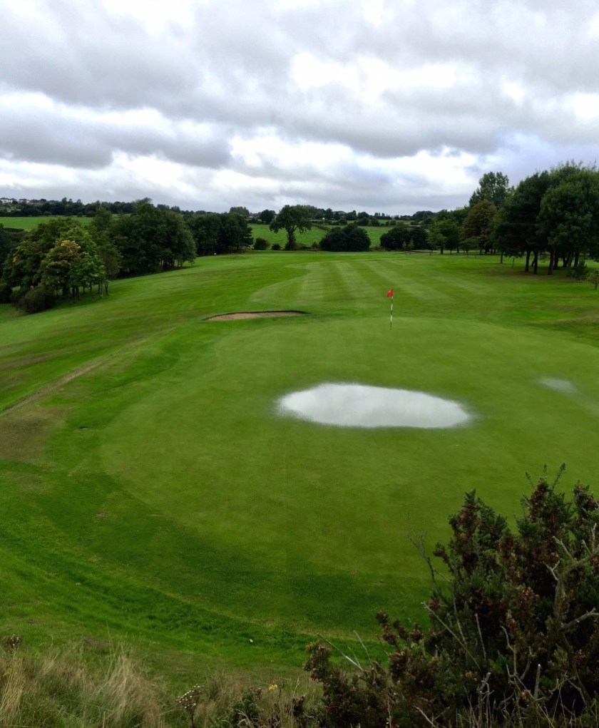 #sundaysevens 164 (6)