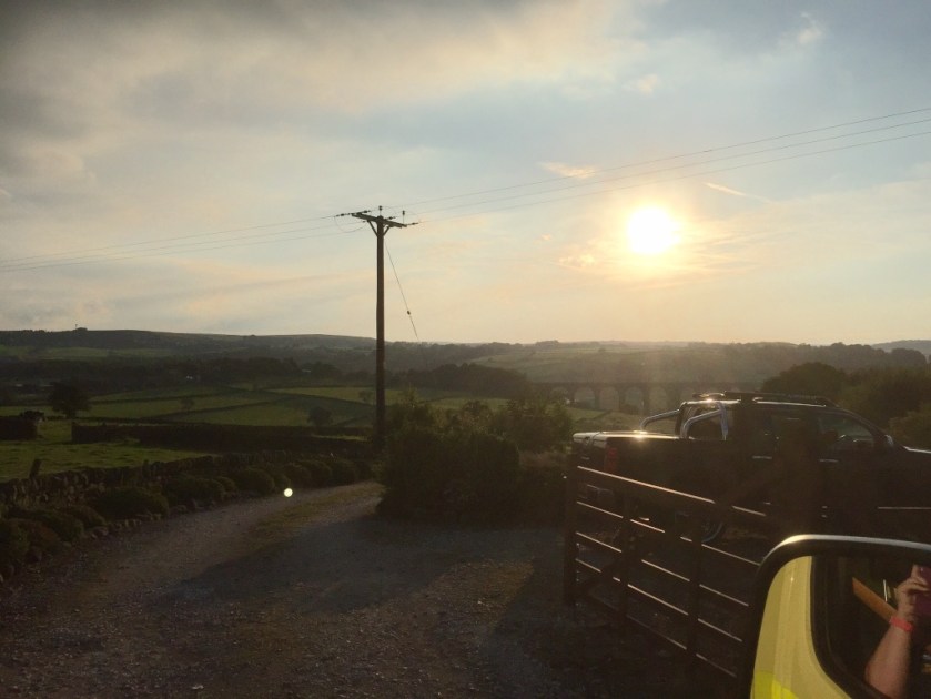 #sundaysevens 166 (5)