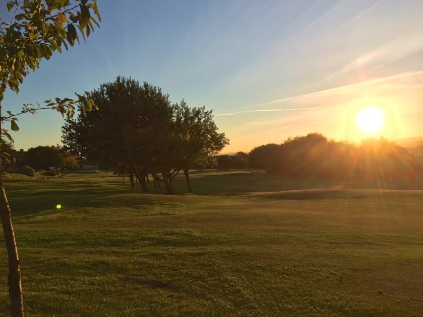 #sundaysevens 195 (1)