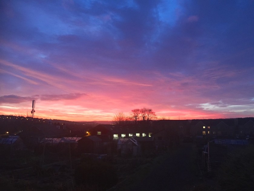 #sundaysevens   308 (1)