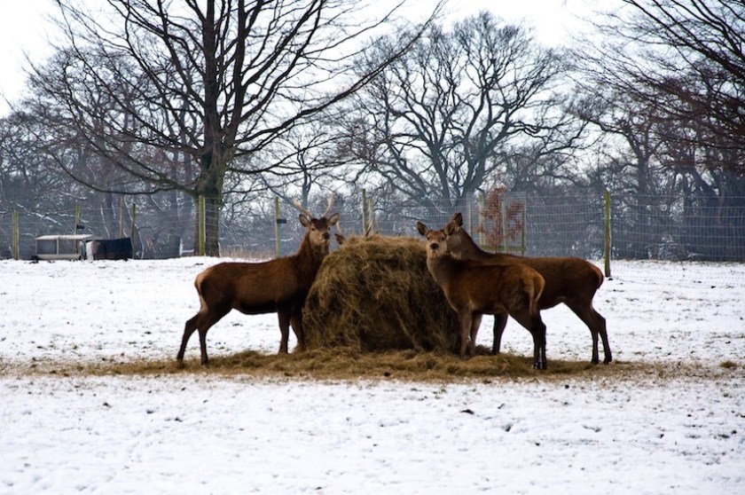 #photochallenge   320