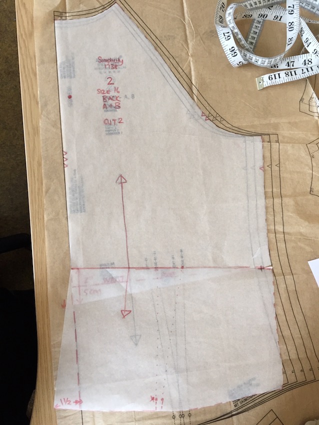 #simplicity1783 sway back  452