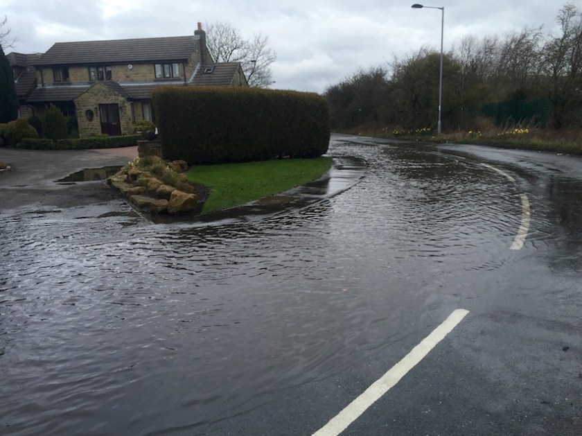 #sundaysevens 530 (1)