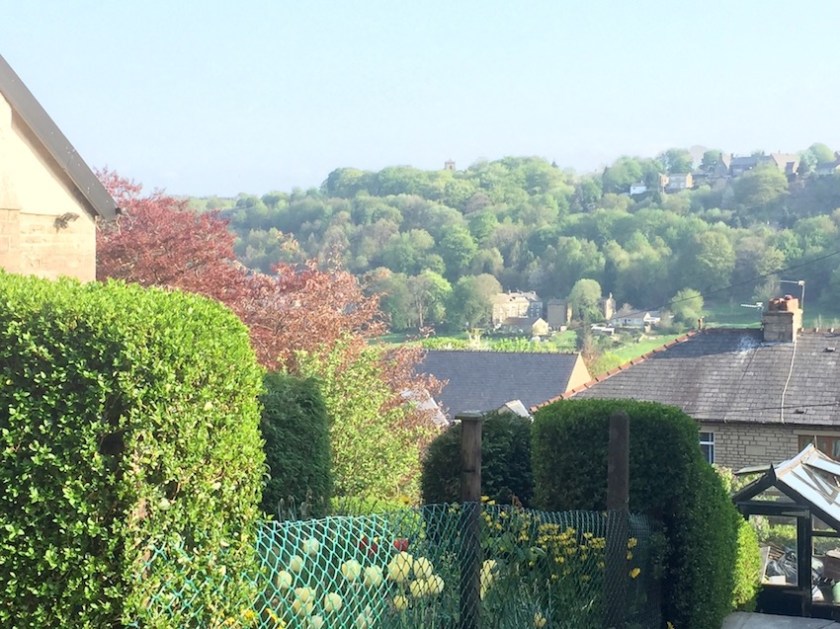 #sundaysevens 610 (2)