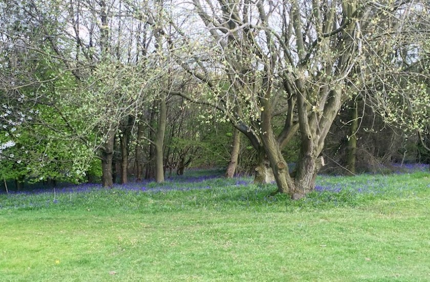 #sundaysevens 611 (1)