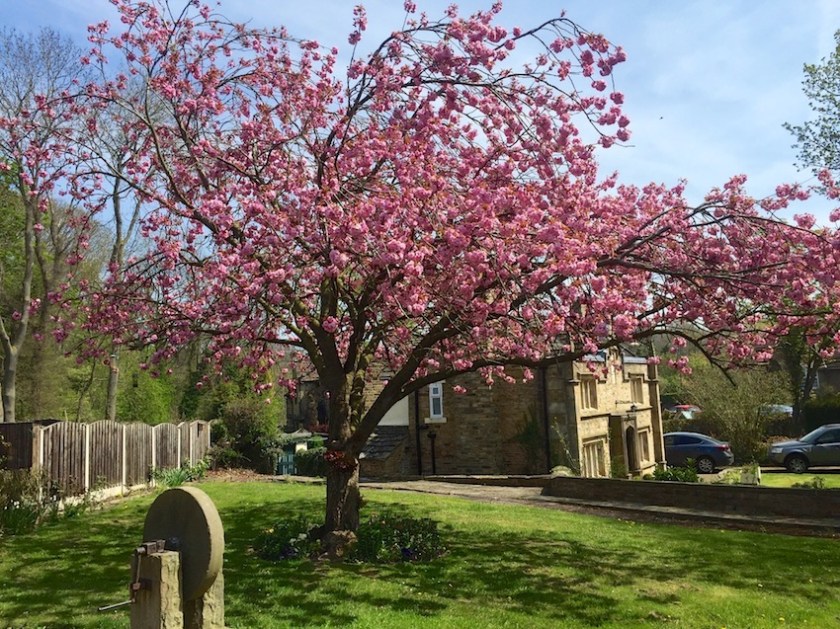 #sundaysevens 614 (1)