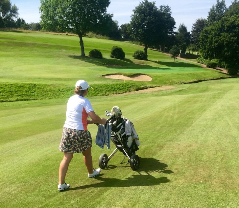 #belizeshortsandskort 743