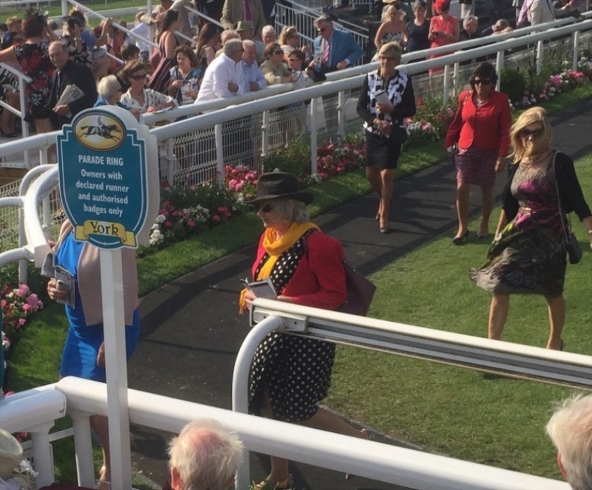 #peoplewatching #ladiesday 770