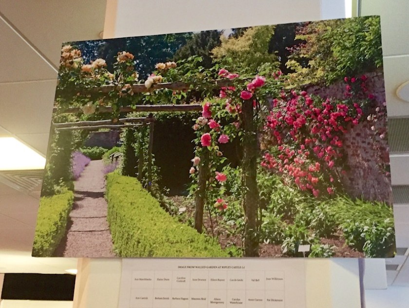 knittingandstitchingshow-bvsewalong-1192