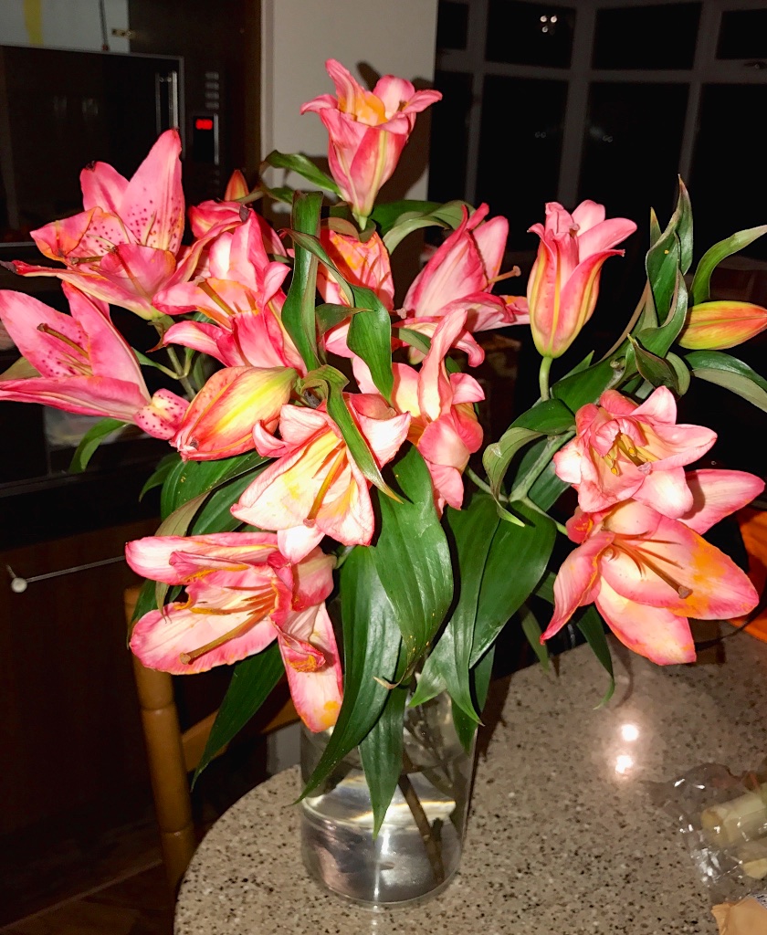 sundaysevens-thimberlina-1334