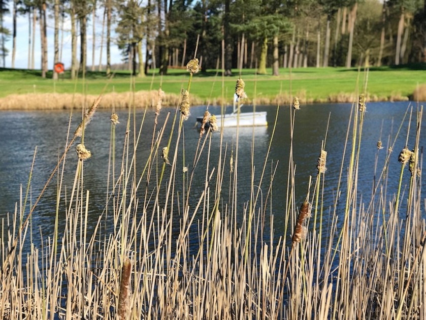 #sundaysevens #thimberlina 1372 (2)