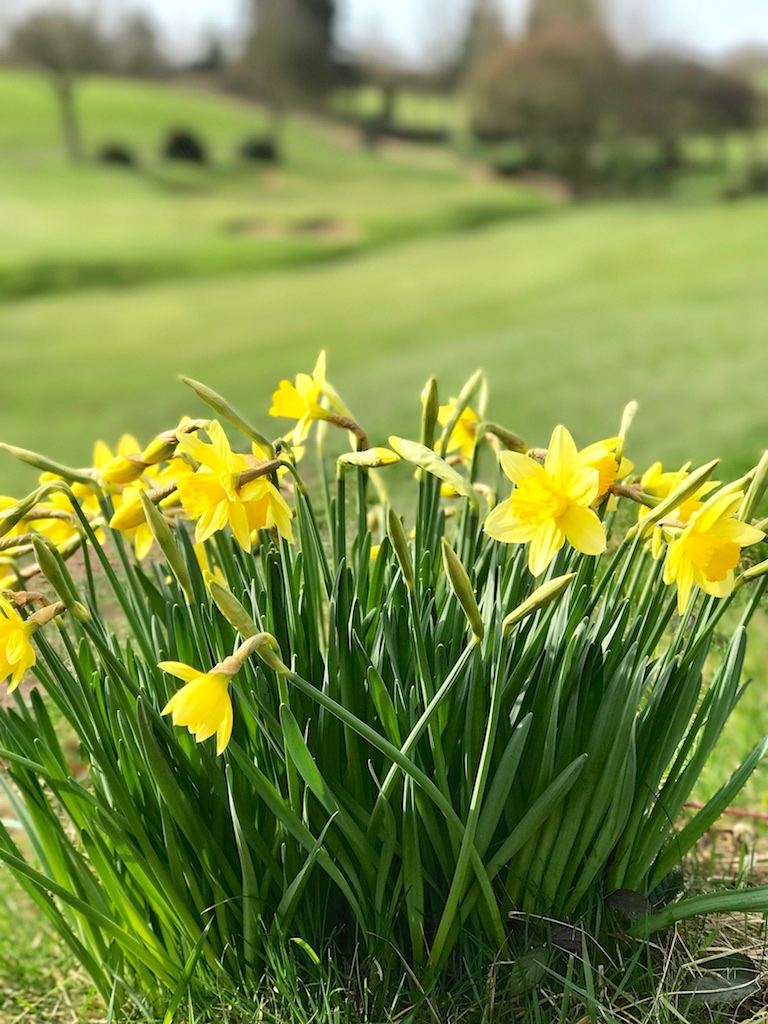 #sundaysevens #thimberlina 1379