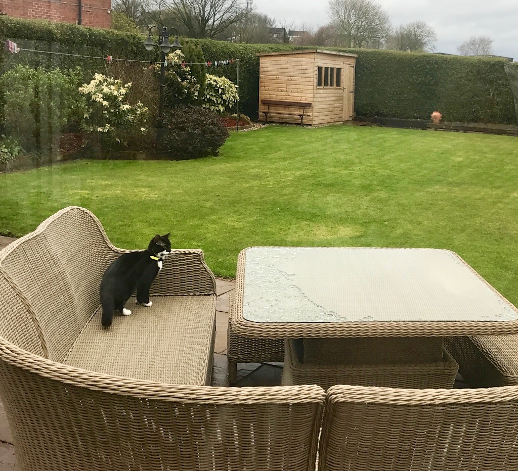 #sundaysevens #thimberlina 1375 (3)