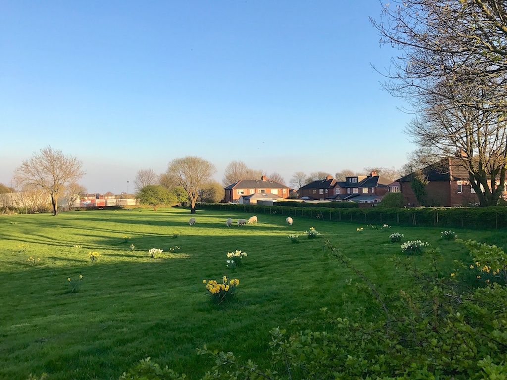 #sundaysevens #thimberlina #sewingfriends 1383