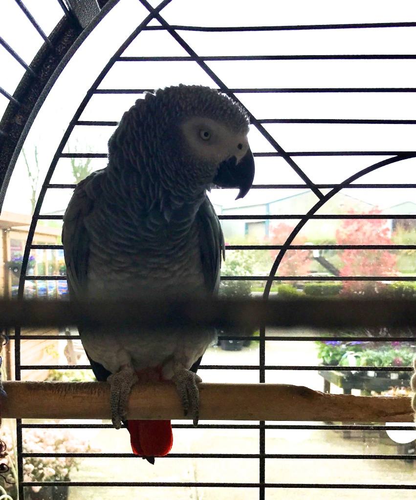 #sundaysevens #thimberlina #sewingfriends 1385 (1)