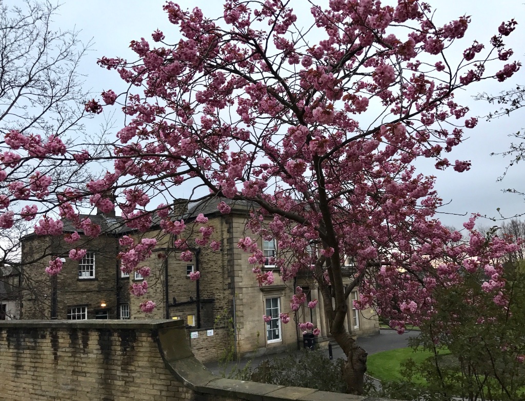 #sundaysevens #thimberlina #sewingfriends 1392 (1)