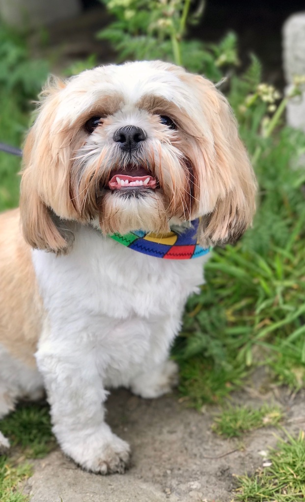 #sundaysevens #thimberlina10