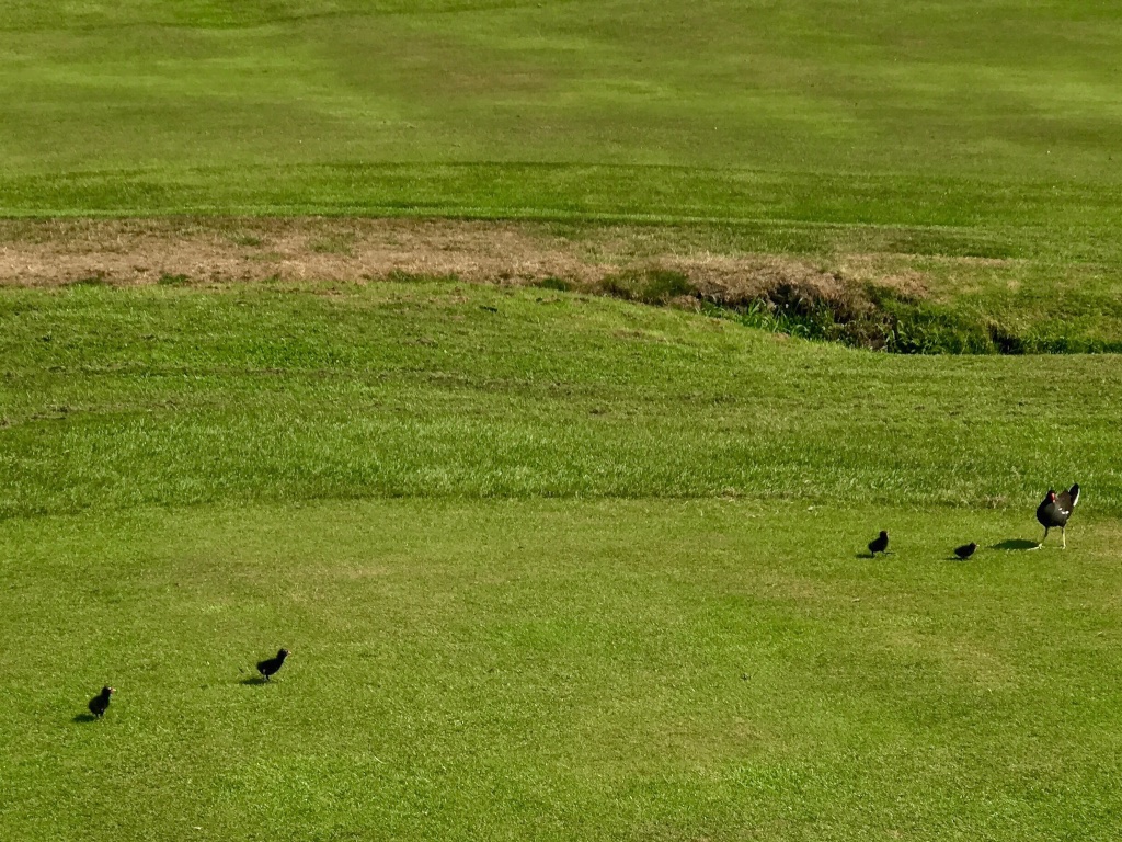 #sundaysevens #thimberlina #sewingblog 1