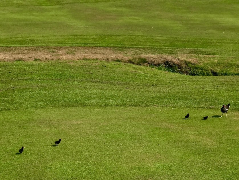 #sundaysevens #thimberlina #sewingblog 1