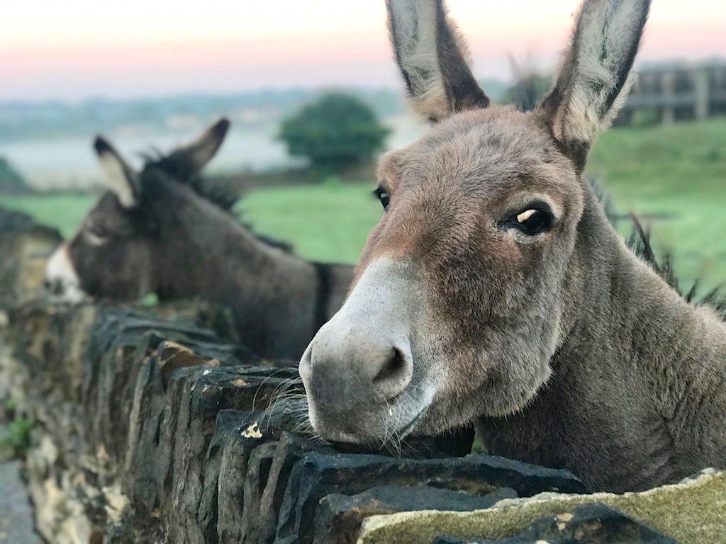 #sundaysevens #thimberlina #sewingblog 30