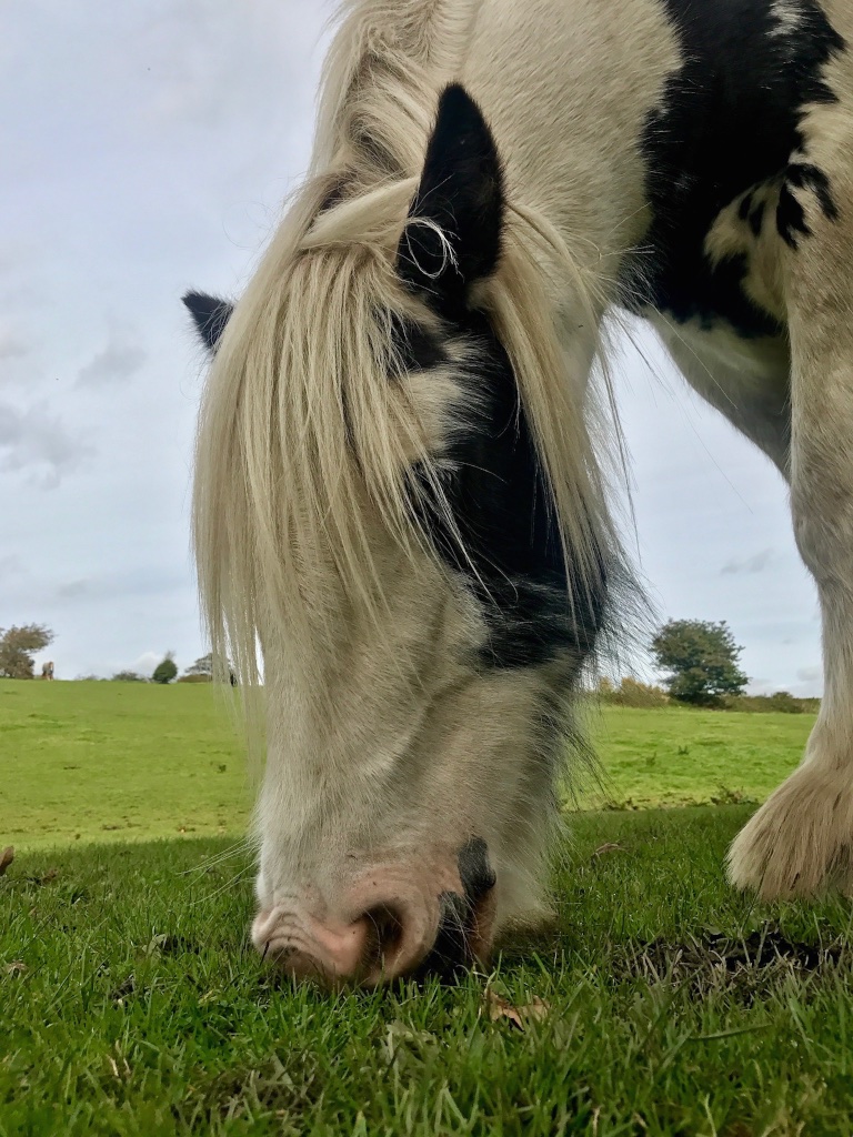 #sundaysevens #thimberlina #sewingblog 52