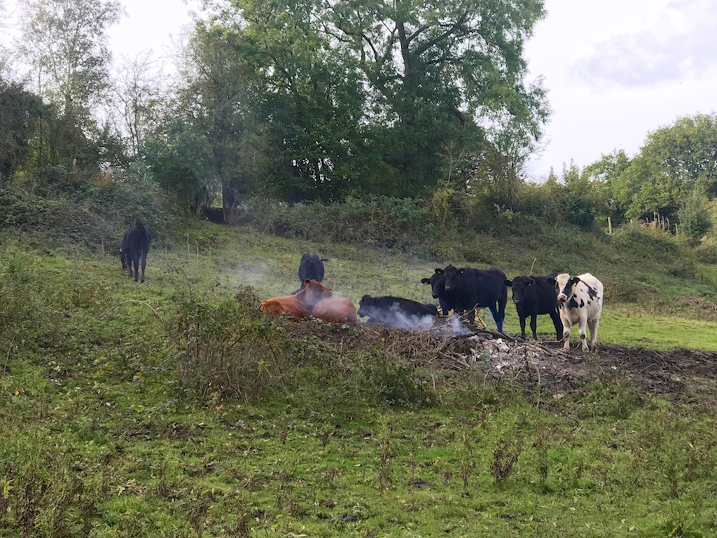 #sundaysevens #thimberlina #sewingblog 53