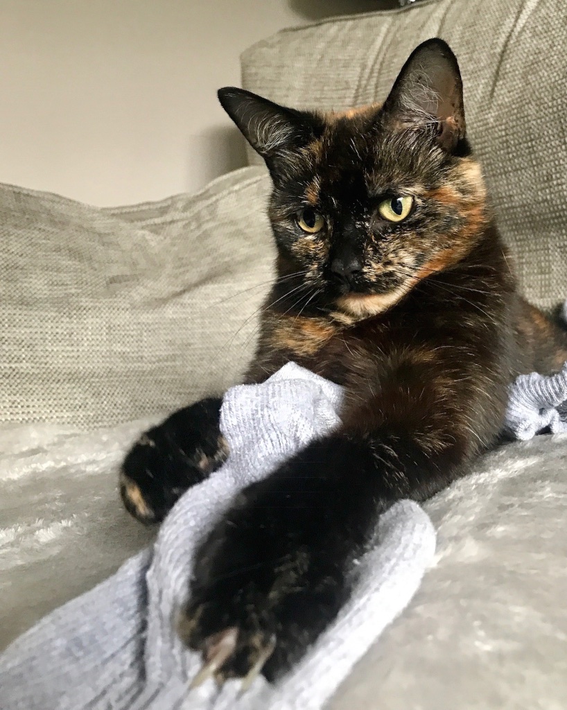 #sundaysevens #thimberlina #sewingblog 8